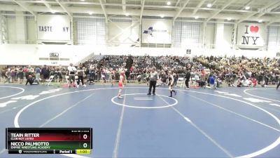 74 lbs Cons. Round 2 - Nicco Palmiotto, Empire Wrestling Academy vs Teain Ritter, Club Not Listed