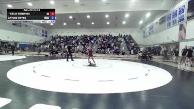110 lbs Quarterfinal - Celia Esquivel, Bakersfield College vs Caylee Reyes, Mt. San Antonio College