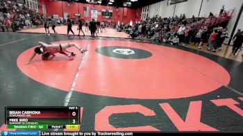 113 lbs Cons. Round 2 - Brian Carmona, SCHAUMBURG (HS) vs Mike Bird, Elmhusrt (IC CATHOLIC)