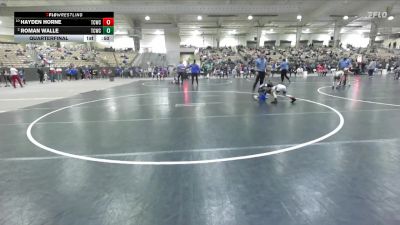 50 lbs Quarterfinal - Hayden Horne, TN Wrestling Academy vs Roman Walle, Iron Knights