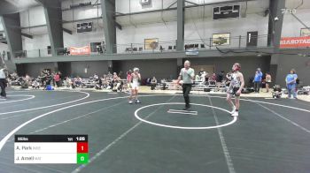 95 lbs Semifinal - A.p. Park, Independent vs Jayden Amell, Mat Demon WC