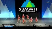 Raevin Dance Factory - DFE Youth Small Jazz [2025 Youth - Jazz - Small Semis] 2025 The Dance Summit