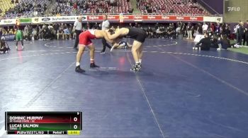 197 lbs Quarters & 1st Wb (16 Team) - Dominic Murphy, St. Cloud State vs Lucas Salmon, Tiffin