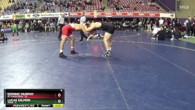 197 lbs Quarters & 1st Wb (16 Team) - Dominic Murphy, St. Cloud State vs Lucas Salmon, Tiffin