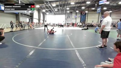 90 lbs Rr Rnd 1 - Domenic DeGraide, Terps Northeast Elite vs Ethan Hale, Funk University