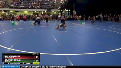 50 lbs Quarterfinal - Grayson Guelig, MN Elite vs Ray Youngblut, Jesup Mat Club