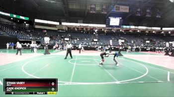 120 lbs Cons. Round 2 - Cade Knopick, RWC3 vs Ethan Vasey, BEL3