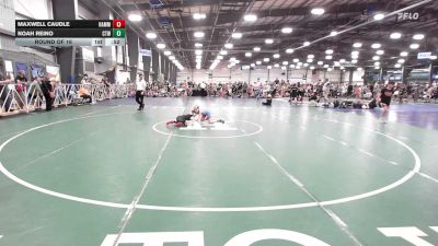 56 lbs Round Of 16 - Maxwell Caudle, Hammers - EL vs Noah Reino, CTWHALE Orca - EL