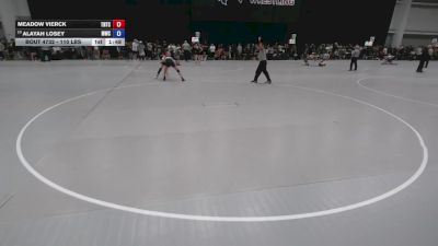 110 lbs Champ. Rd Of 64 - Meadow Vierck, Team Nazar Training Center vs Alayah Losey, Maize Wrestling Club