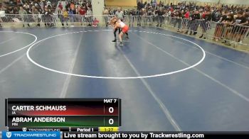 113 lbs Champ. Round 2 - Abram Anderson, MN vs Carter Schmauss, IA