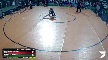 65 lbs Round 4 - Everett Badua, Hawaii vs Benjamin Pelayo, Idaho