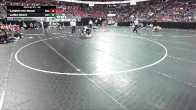 D2-175 lbs Champ. Round 1 - Landon Heitmeier, Portage vs James Bratz, Shoreland Lutheran