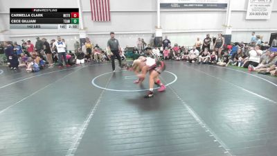 142 lbs Round Robin 4 - Carmella Clark, Metro All-Stars - G vs Cece Gilliam, Team Ohio - G