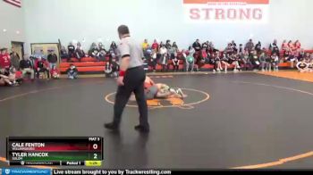 220 lbs Quarterfinal - Cale Fenton, Williamsburg vs Tyler Hancox, Solon