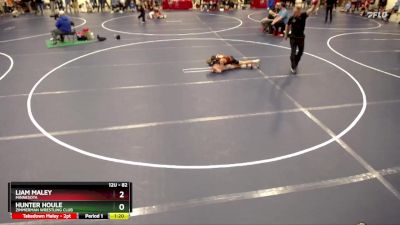 82 lbs Semifinal - Liam Maley, Minnesota vs Hunter Houle, Zimmerman Wrestling Club