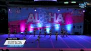 WE Cheer All Stars - Divine Beasts [2024 L2.2 Youth - PREP 11/17/24] 2024 Aloha Trenton Showdown