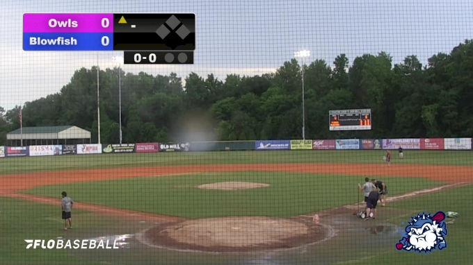 Lexington County Blowfish vs Macon Bacon Game Highlights: 7/13/23 