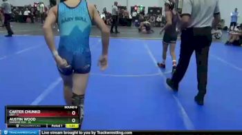 92 lbs Round 6 (10 Team) - Austin Wood, Diamond Fish vs Carter Chunko, Grit