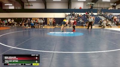 285 lbs Quarterfinal - Trevor Gitski, Wilkes vs Ben Krauss, Muhlenberg College