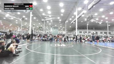 174 lbs Rr Rnd 2 - Harrison Muller, Empire Wrestling Academy Gold - HSC vs Ethan Yang, Journeymen Wrestling Blue - HSC