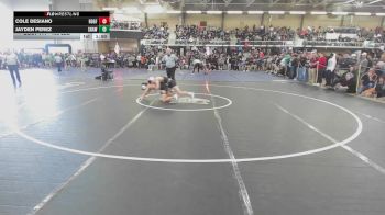 106 lbs Round Of 16 - Cole Desiano, Ridgefield vs Jayden Perez, Shawsheen