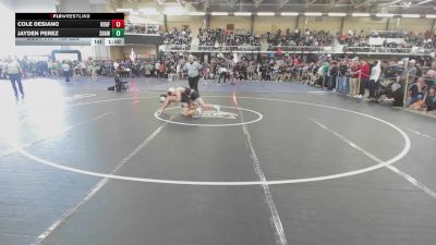 106 lbs Round Of 16 - Cole Desiano, Ridgefield vs Jayden Perez, Shawsheen