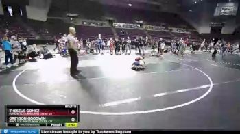 49 lbs Round 4 (10 Team) - Greyson Goodwin, Black Fox Wrestling Academy vs Theseus Gomez, Pomona Elite/Wrecking Crew