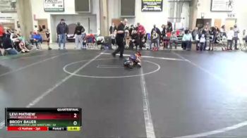 44 lbs Quarterfinal - Brody Bauer, Smith Mountain Lake Wrestling vs Levi Mathew, Spazz Wrestling