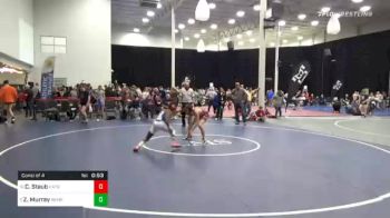 124 lbs Consolation - Christopher Staub, Hatboro Horsham vs Zymir Murray, Hempfield