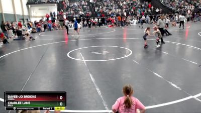 44-49 lbs Quarterfinal - Charlee Lane, BRLD vs Davee-Jo Brooks, Cobra