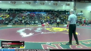 125 lbs Quarterfinal - Paxton Creese, St. Cloud State vs Oscar Nellis, Minot State (N.D.)