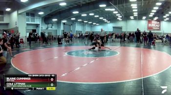 82 lbs Cons. Round 7 - Blaine Cummings, Red Lion vs Cole Littman, Great Neck Wrestling Club