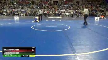 110 lbs Semifinal - Alexis Schneider, Napoleon G-S vs Mallory Devries, Central Cass