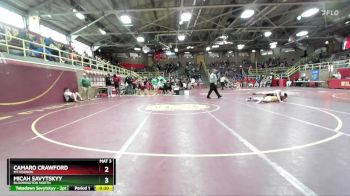 138 lbs Cons. Round 3 - Micah Savytskyy, Bloomington North vs Camaro Crawford, Mt.Vernon