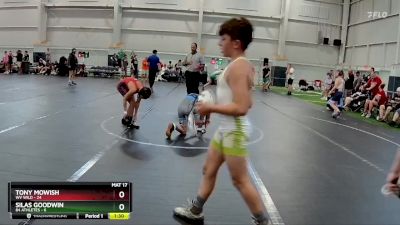 96 lbs Finals (2 Team) - Tony Mowish, WV Wild vs Silas Goodwin, 84 Athletes