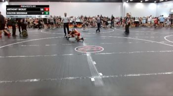 68 lbs Round 2 (3 Team) - Anthony McKay, Team Mat Clash vs Colton Weidman, Team Palmetto