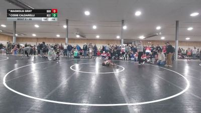 46 lbs Semifinal - Magnolia Gray, Bainbridge vs Codie Caldarelli, Allentown
