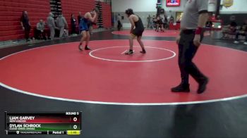 190 lbs Round 5 - Dylan Schrock, Clear Creek-Amana vs Liam Garvey, New London