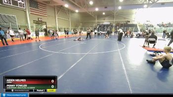 106 lbs Quarterfinal - Perry Fowler, Sanderson Wrestling Academy vs Aiden Nelmes, COWA