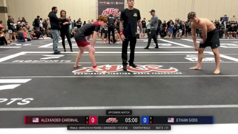 Alexander Cardinal vs Ethan Goss 2025 ADCC Orlando Open/Youth Trials