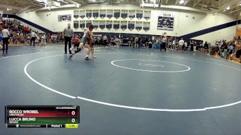 113 lbs Quarterfinal - Rocco Wrobel, Crestwood vs Lucca Bruno, Revere