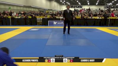 Leandro G. Nardy vs Alexandre Pimentel 2025 World Master IBJJF Jiu-Jitsu Championship