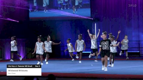 Wildwood Wildcats - Rec Cheer [2023 Hip Hop Jr. Peewee NB Small Day 3] 2023 Pop Warner National Cheer & Dance Championship