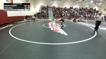 126 lbs Champ. Round 1 - Dominic Wagner, Rock Springs vs Ryan Small, Lander Valley