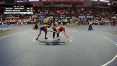 D 1 157 lbs Cons. Round 2 - Bronzy Williams, Hahnville vs Anthony Cinquemano, Brother Martin