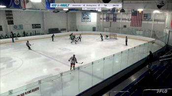 Replay: Home - 2024 Shamrocks vs Hockey Farm Var. | Apr 14 @ 7 PM