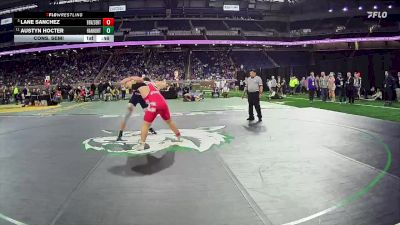D4-190 lbs Cons. Semi - Lane Sanchez, Benzie Central vs Austyn Hocter, Hanover-Horton