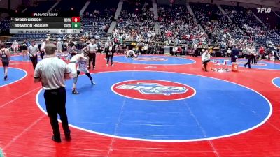 132-6A 3rd Place Match - Brandon Higgins, Camden County vs Ryder Gibson, North Paulding