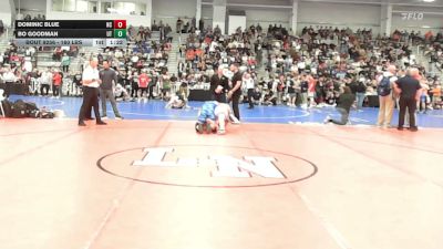 160 lbs Quarterfinal - Dominic Blue, NC vs Bo Goodman, UT