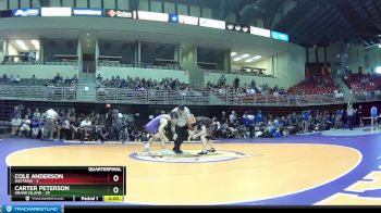 157 lbs Quarters & Wb (16 Team) - Carter Peterson, Grand Island vs Cole Anderson, Hastings